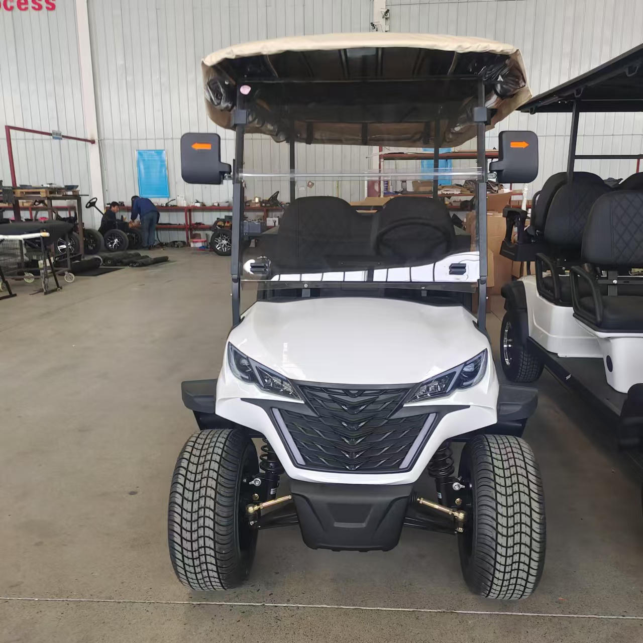 golf cart 1 (245).jpg